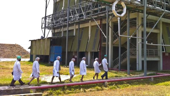 Touring an artemisinin factory outside Nairob