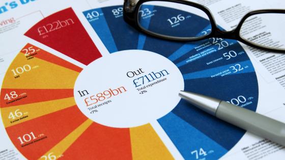 Government budget chart