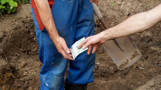 Gardener getting paid in cash