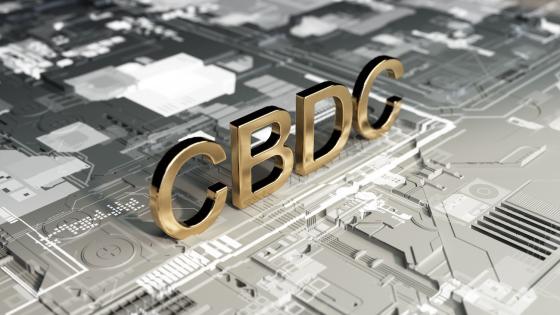 CBDC on circuit board