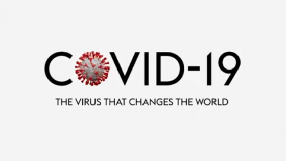 The Medical Shock & the Economic Shock, a Pocket Lecture 