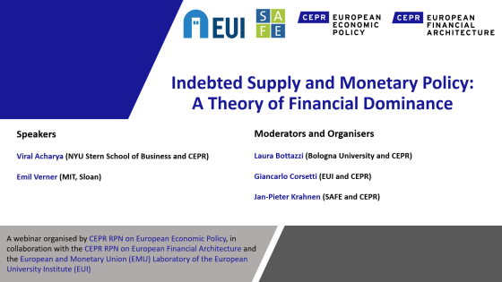 a theory of financial dominance webinar holding slides